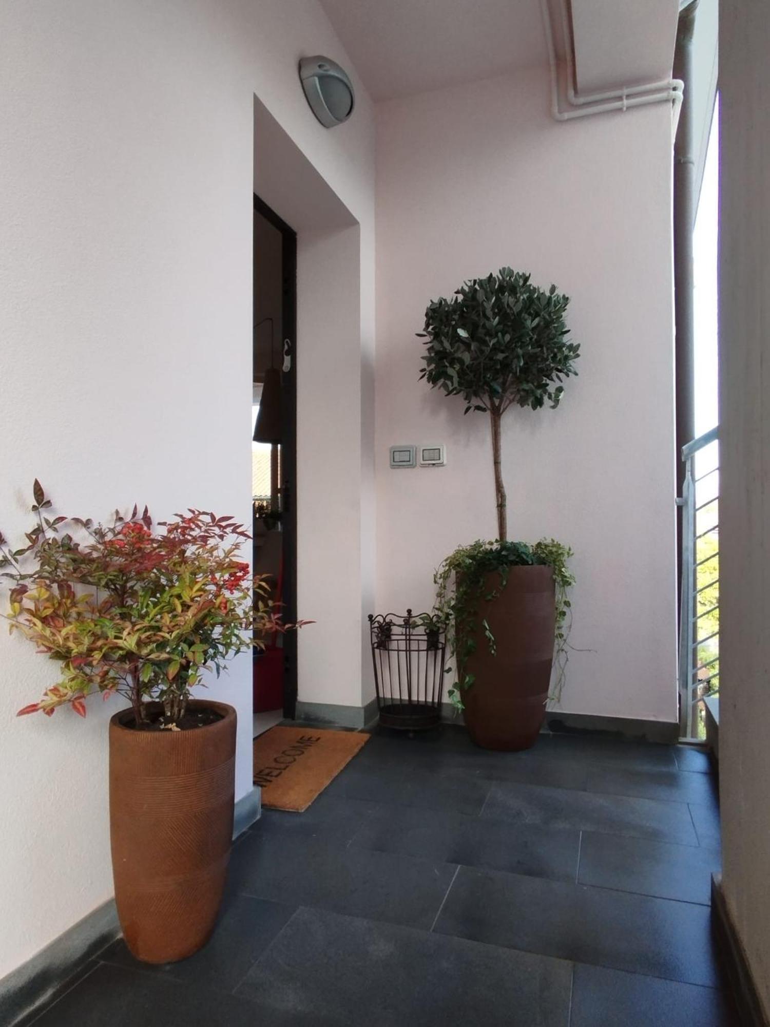 Casa Degli Aromi Lucca Exterior foto